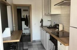 Apartament 1 camera Tudor Vladimirescu