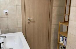 Apartament 1 camera Tudor Vladimirescu