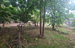 Casa 6 camere - 2300 mp curte - Horpaz