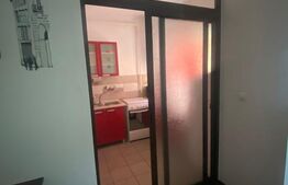 Apartament premium cu 2 camere Copou Bellevue