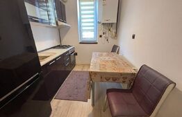 Apartament cu 2 camere, 36 mp, zona Capat Pacurari