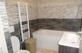  Apartament 1 camera Tudor Vladimirescu