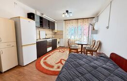 Garsonieră de vânzare Nicolina - 94667AV | BLITZ Iași | Poza1