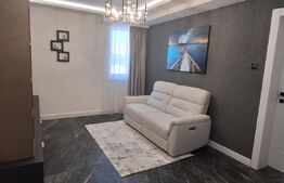 Penthouse de vanzare, 218.13 mp, zona Frumoasa