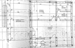 Casa duplex, 226 mp, 1600 mp teren, zona Prisacani