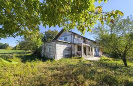 Casa duplex, 226 mp, 1600 mp teren, zona Prisacani