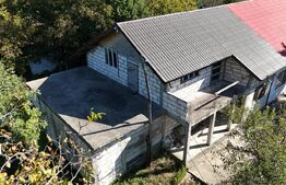 Casa duplex, 226 mp, 1600 mp teren, zona Prisacani
