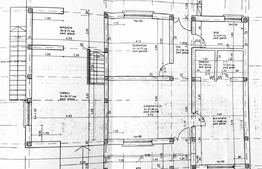 Casa duplex, 226 mp, 1600 mp teren, zona Prisacani