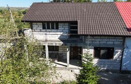 Casa duplex, 226 mp, 1600 mp teren, zona Prisacani