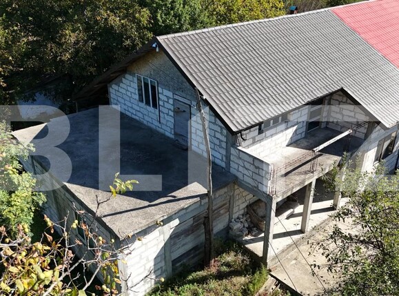 Casa de vânzare 4 camere Prisacani - 207519CV | BLITZ Iași | Poza5