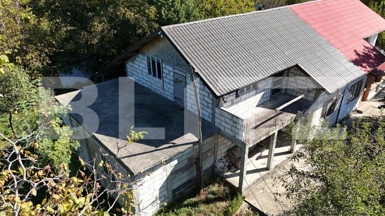Casa de vânzare 4 camere Prisacani - 207519CV | BLITZ Iași | Poza5