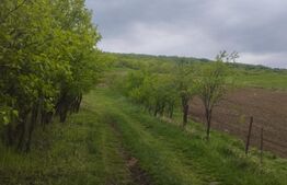 Teren intravilan , 2000 mp, zona Tomesti