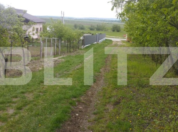 Teren de vânzare Tomesti - 207635TV | BLITZ Iași | Poza1