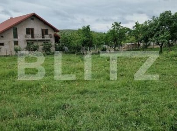Teren de vânzare Bratuleni - 207949TV | BLITZ Iași | Poza2