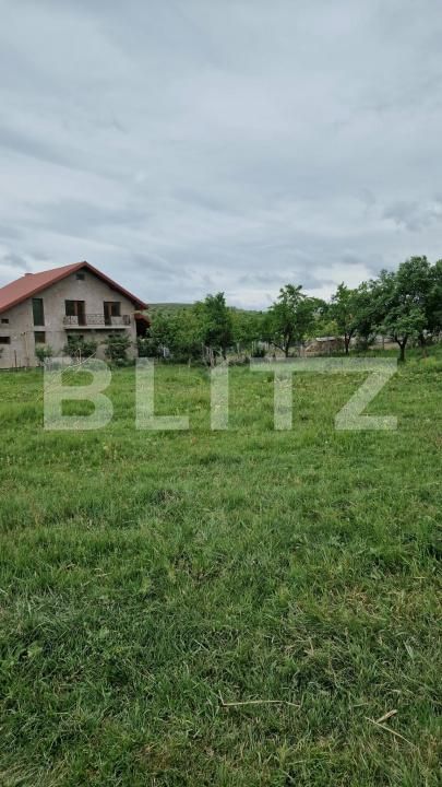 Teren de vânzare Bratuleni - 207949TV | BLITZ Iași | Poza2