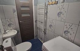 Apartament 2 Camere Pacurari