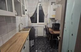 Apartament 2 Camere Pacurari