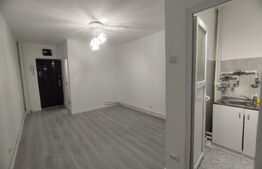 Garsoniera de vanzare, 23 mp, terasa 20 mp, zona Nicolina