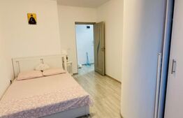 Apartament 2 camere, 67 mp total, terasa, zona Popas Pacurari