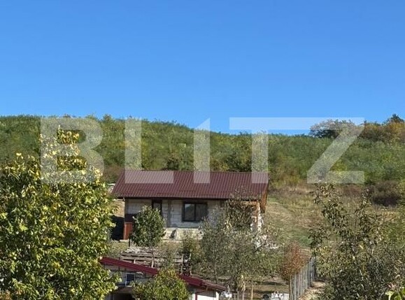 Casa de vânzare 1 camera Hlincea - 208523CV | BLITZ Iași | Poza7