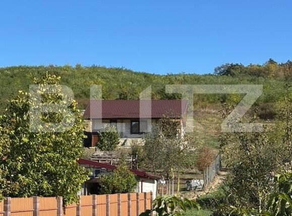Casa de vânzare 1 camera Hlincea - 208523CV | BLITZ Iași | Poza9