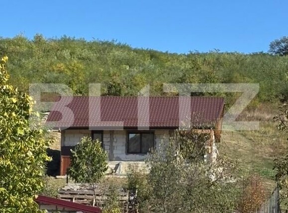 Casa de vânzare 1 camera Hlincea - 208523CV | BLITZ Iași | Poza8