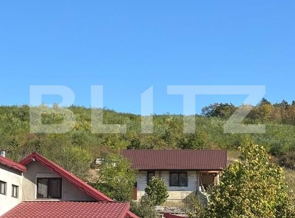 Casa de vânzare 1 camera Hlincea - 208523CV | BLITZ Iași | Poza5