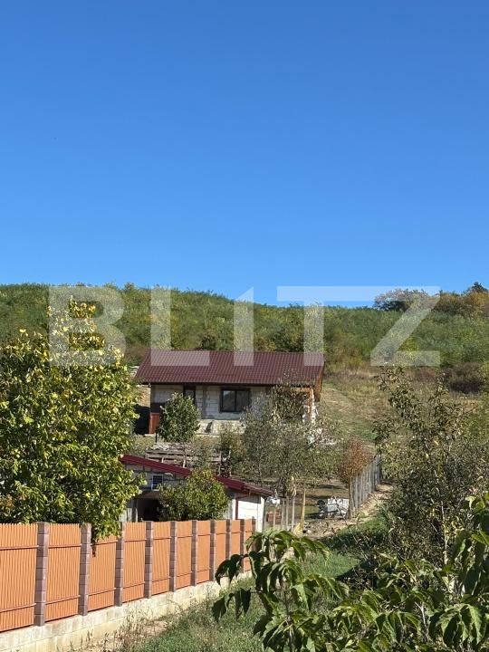 Casa de vânzare 1 camera Hlincea - 208523CV | BLITZ Iași | Poza7
