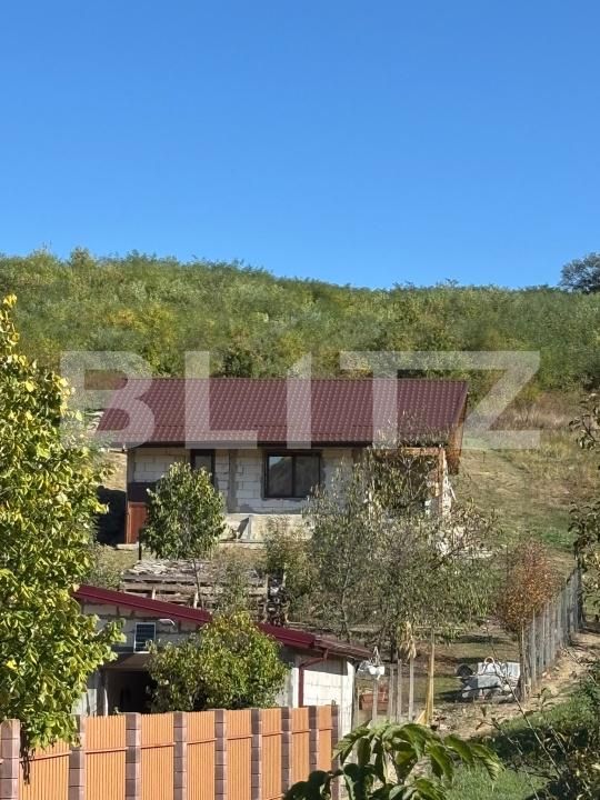 Casa de vânzare 1 camera Hlincea - 208523CV | BLITZ Iași | Poza8