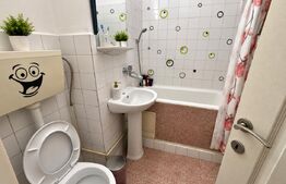 Apartament 1 cameră, 32 mp, zona Tatarasi