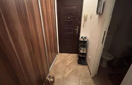 Apartament 1 cameră, 32 mp, zona Tatarasi