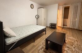 Apartament 1 cameră, 32 mp, zona Tatarasi