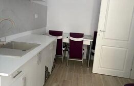 Apartament 1 camera, 39 mp, zona Tatarasi