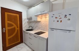 Cameră de cămin, 17 mp, zona Nicolina