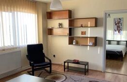 Apartament 2 camere, 49 mp, zona Palas Mall