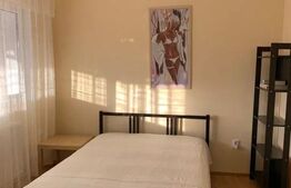 Apartament 2 camere, 49 mp, zona Palas Mall
