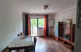 Apartament de 2 camere, 50mp, zona Bucium