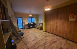 Apartament 2 camere transformat, terasa de 28 mp, ultracentral, zona Palas