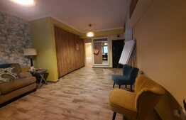 Apartament 2 camere transformat, terasa de 28 mp, ultracentral, zona Palas