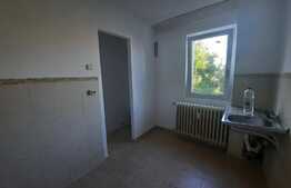 Apartament de 2 camere, 50 mp, decomandat, zona centrala, langa Palas 