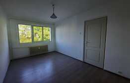 Apartament de 2 camere, 50 mp, decomandat, zona centrala, langa Palas 