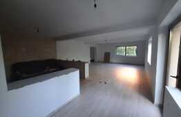 Casa individuala 235 mp utili, teren de 610 mp, garaj, zona Visani