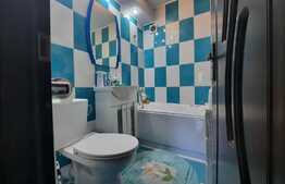 Apartament cu 3 camere, etaj intermediar, ultracentral, zona Palas