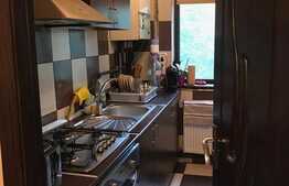 Apartament cu 3 camere, etaj intermediar, ultracentral, zona Palas