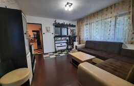 Apartament cu 3 camere, etaj intermediar, ultracentral, zona Palas