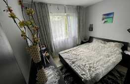 Apartament de 3 camere, etaj intermediar, zona Alexandru - Bahlui