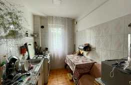 Apartament de 3 camere, etaj intermediar, zona Alexandru - Bahlui