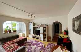 Apartament de 3 camere, etaj intermediar, zona Alexandru - Bahlui