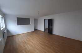 Casa individuala, 509 mp teren intravilan, Lunca Cetatuii