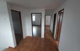 Casa individuala, 509 mp teren intravilan, Lunca Cetatuii